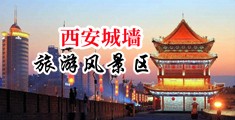 啊啊啊操我骚逼好大嗯视频中国陕西-西安城墙旅游风景区